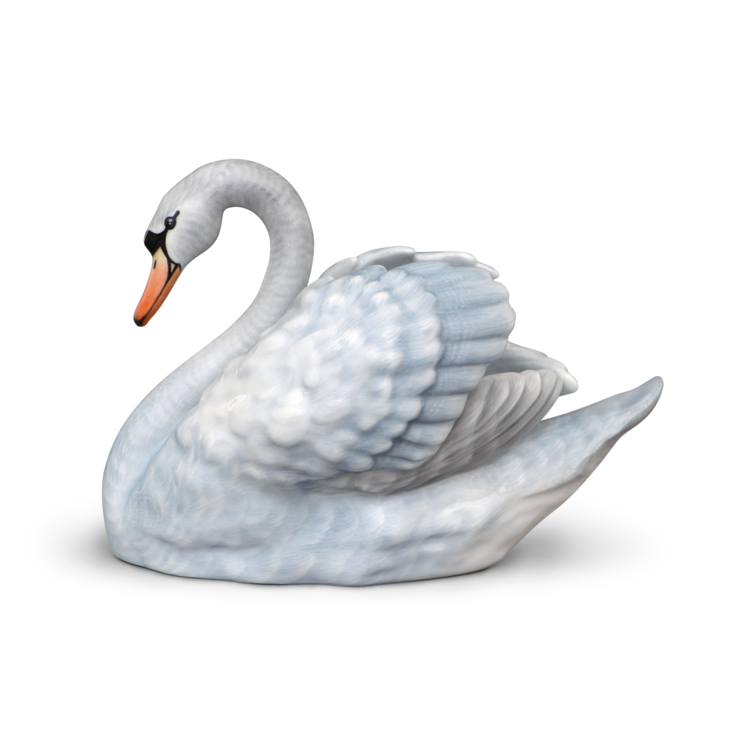 Swan
